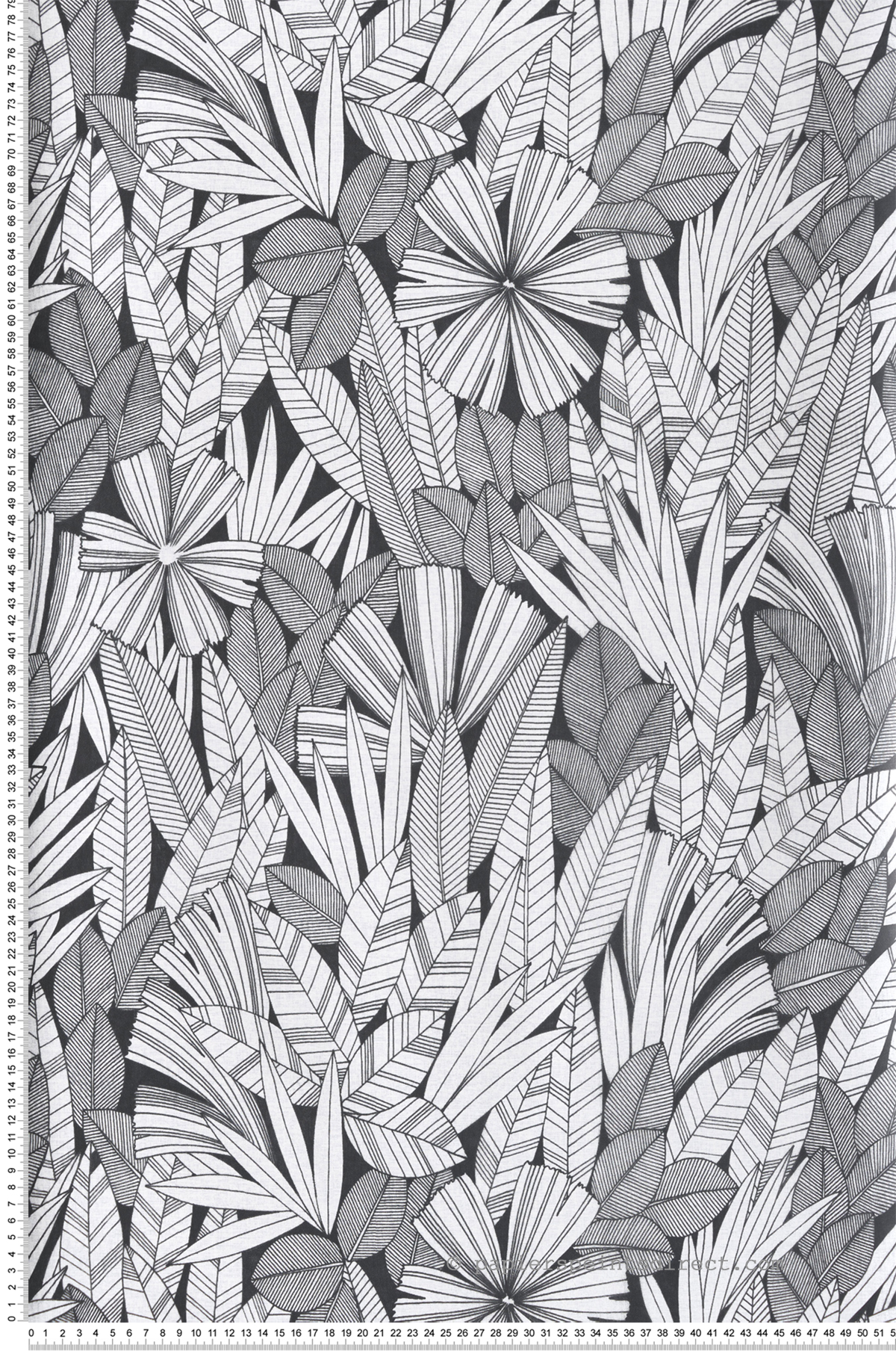 Papier peint Feuille Tropicale Bicolore noir - Happy de Lutèce | Réf. LTC-FD26346