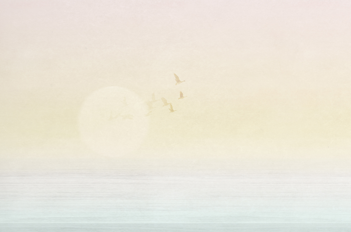 Papier peint panoramique Soleil Sunset pastel - Panorama 2 de Lutèce | Réf. LTC-PAN1701C