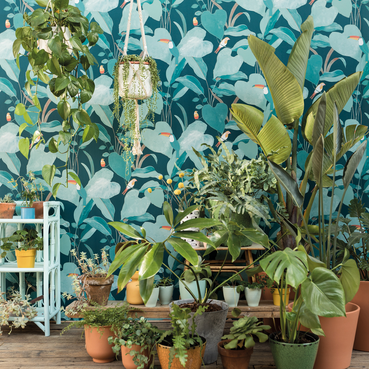 Papier peint Oiseaux tropical Amazonia bleu canard - L'odyssée de Casélio | Réf. OYS101426803