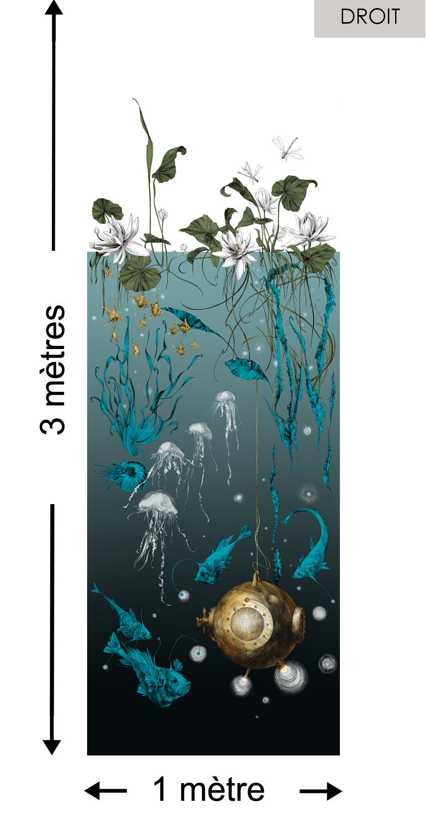 Nautilus DROIT Noir - Collection Catherine Gran de Edmond Petit