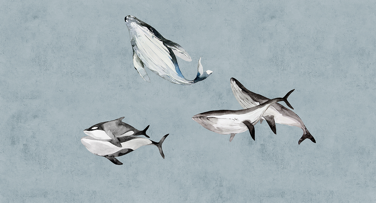 Papier peint panoramique Walls by Patel 3 - Référence DD122012 - Intissé 200g/m2 - 500 x 270 cm