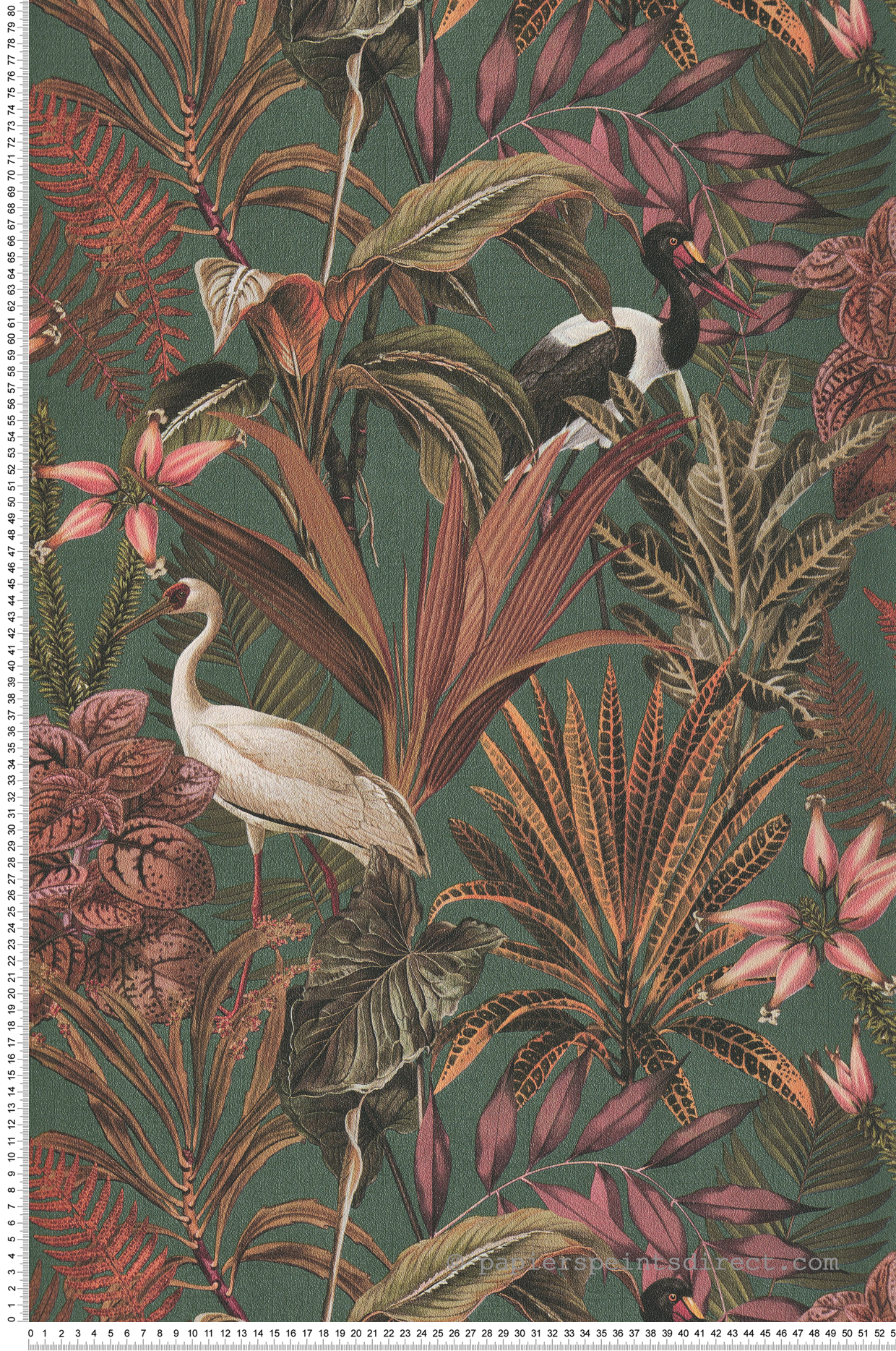 Papier peint Oiseau Jungle vert orange - Shamal de Montecolino | Réf. MC-NHW1050