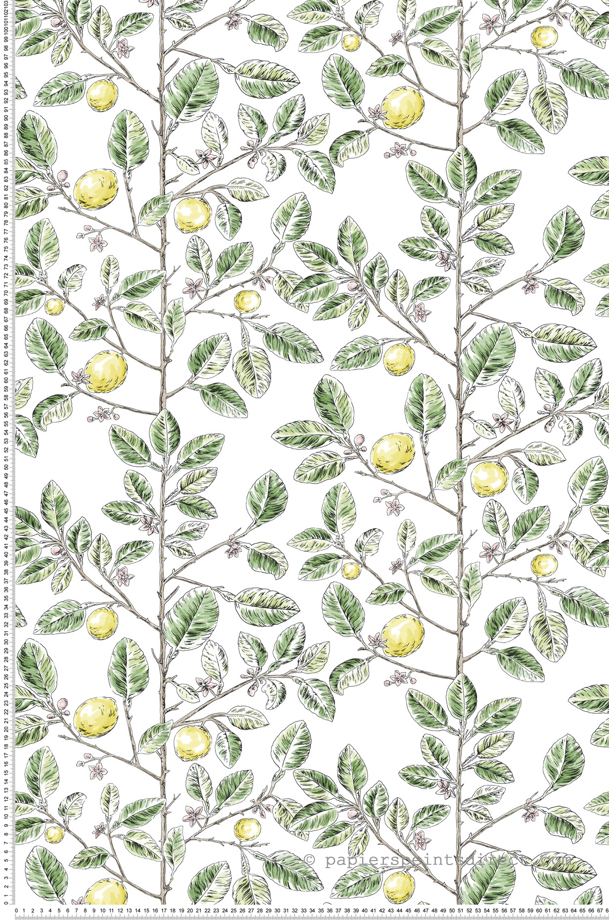 Papier peint Citron Graphique Limoncello vert jaune - Toiles de York (Initiales) | Réf. INI-RT7911