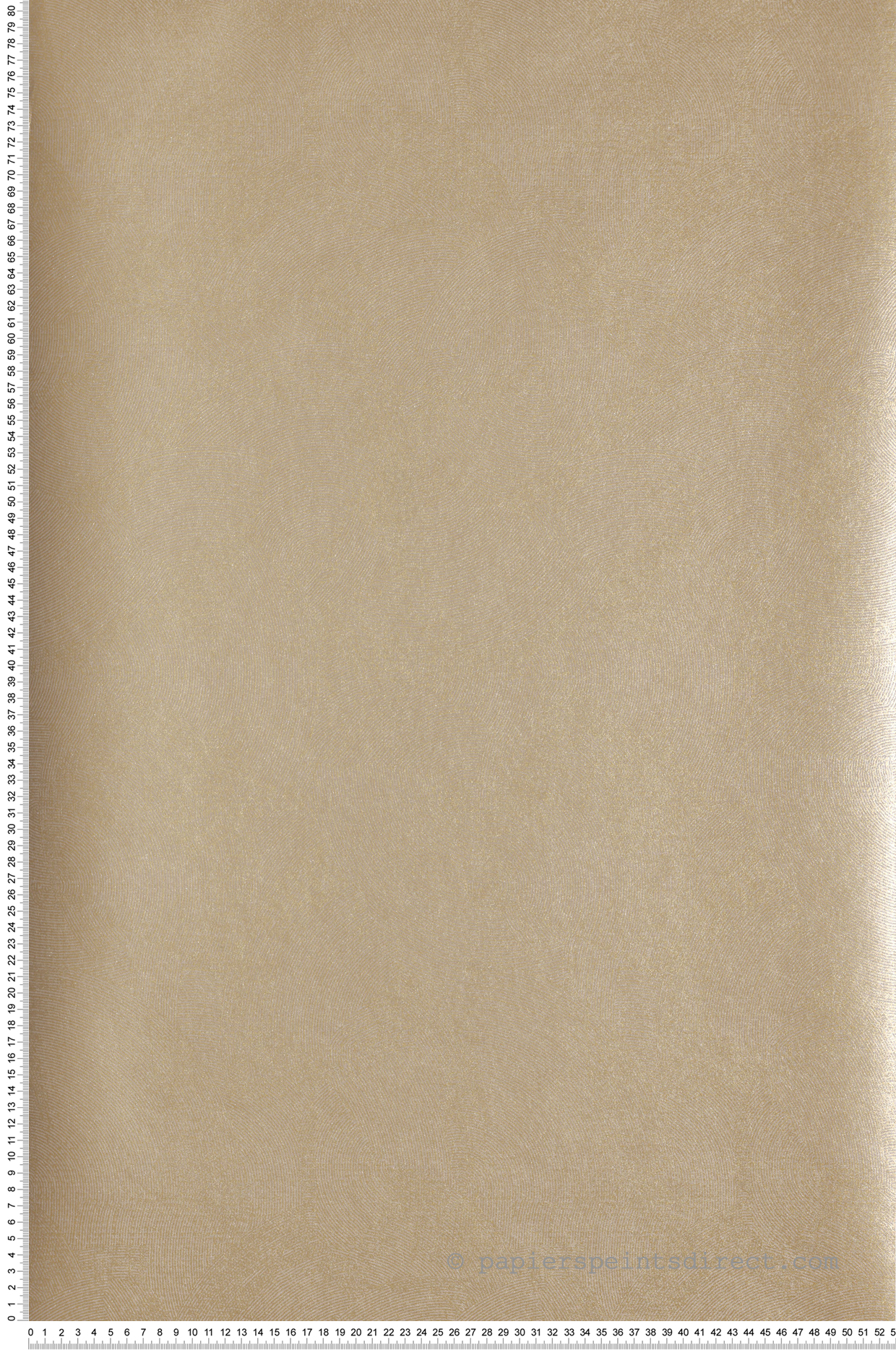 Papier peint Cercle Graphique gris doré - Attitude de Lutèce | Réf. LTC-DWP0366-02