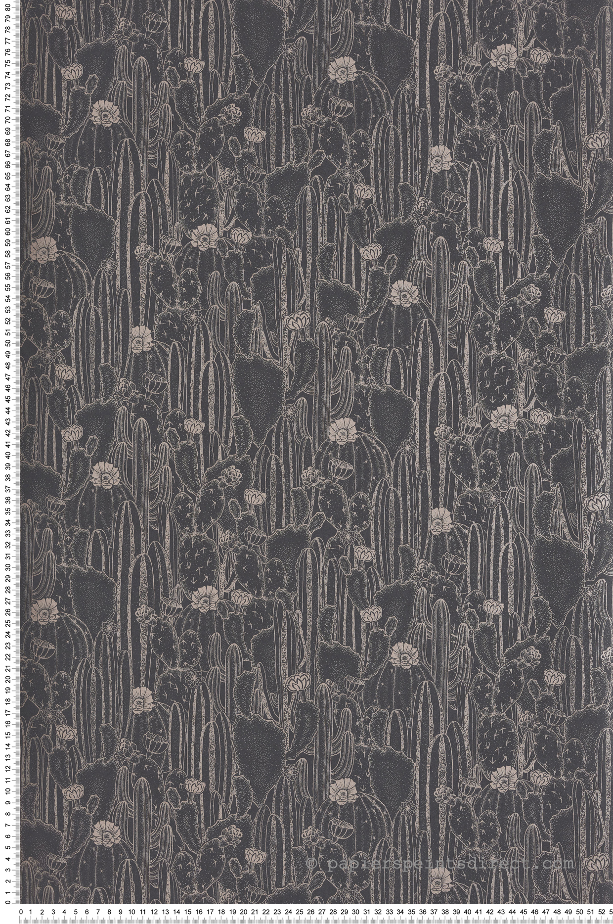 Papier peint Cactus et Fleurs Cactaceae noir - Botanica de Casadéco | Réf. BOTA85929512