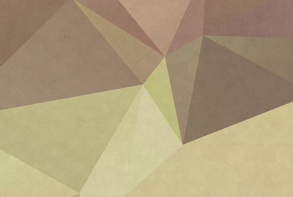 Papier peint panoramique Graphique Polygonal 1 - Référence DD110936 - Intissé 200g/m2 - Standard 400 x 270