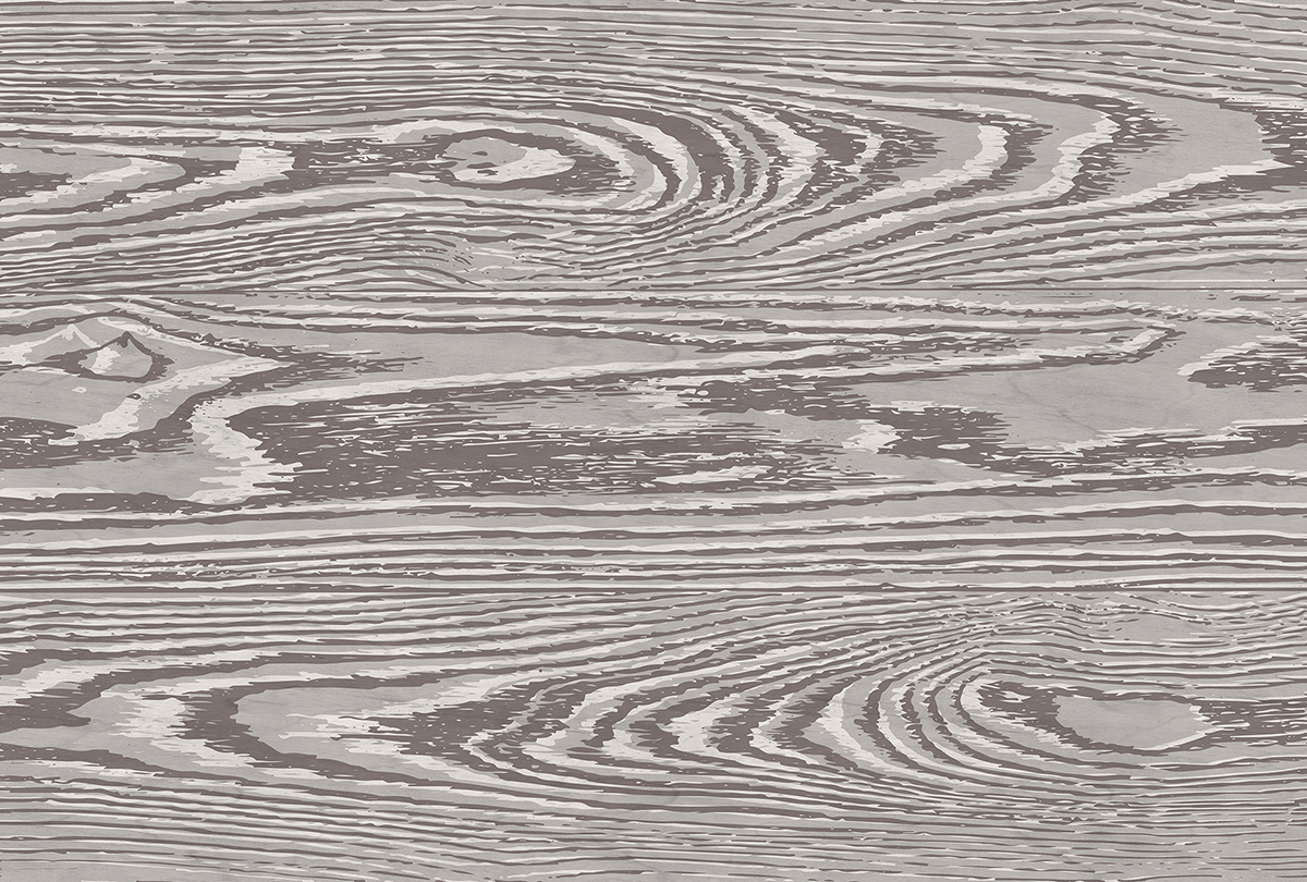 Papier peint panoramique Bois Bounty 4 - Référence DD122600 - Intissé 200g/m2 - 400 x 270 cm