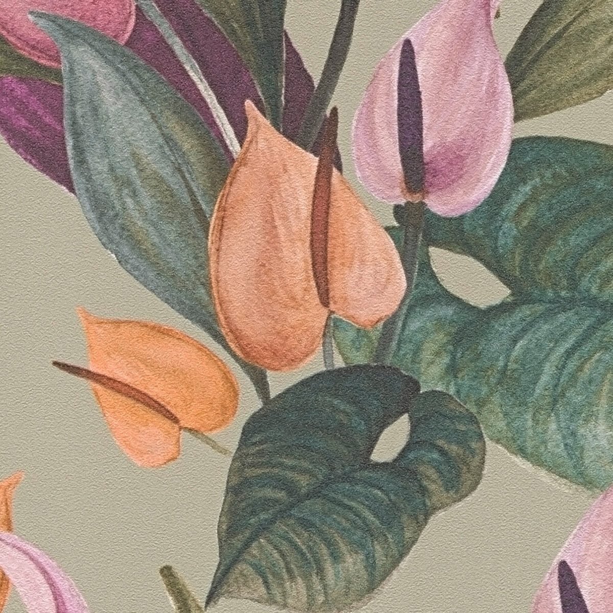 Papier peint Fleurs Anthurium vert - Anna D'Andrea d'A.S. Création AMB3| Réf. AS-782102