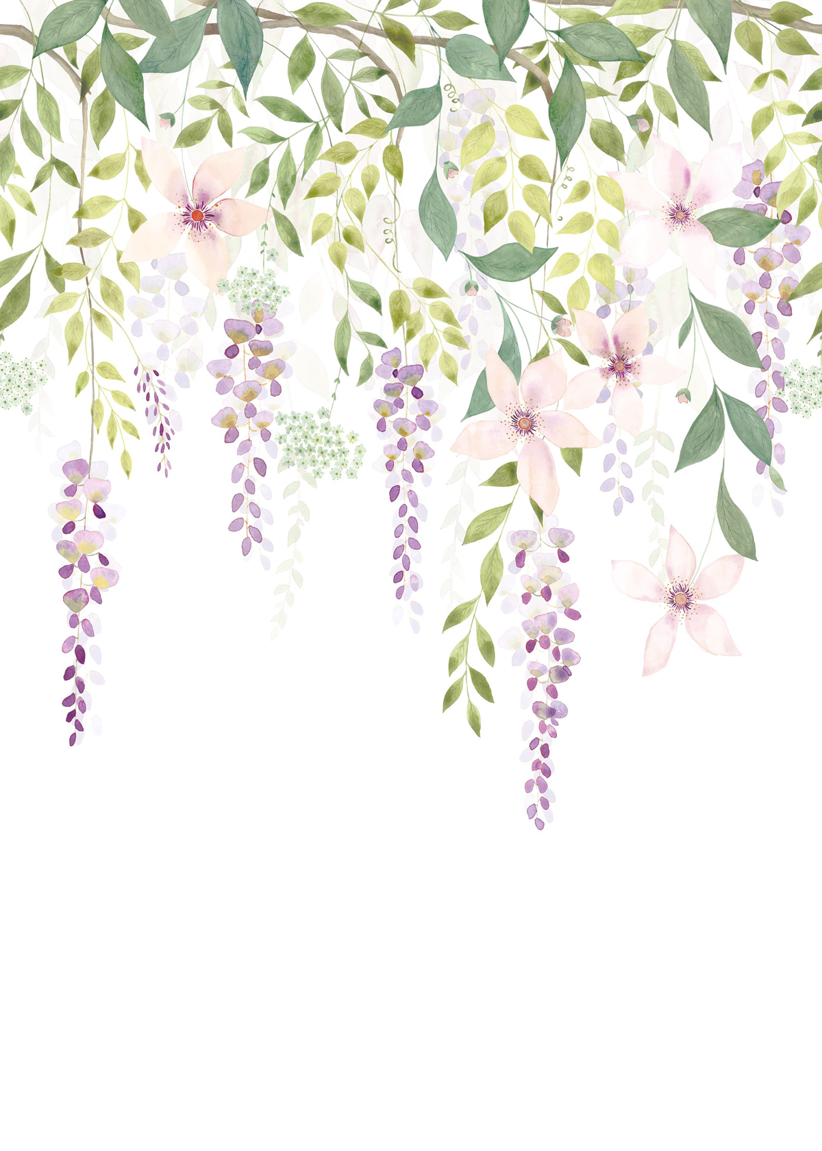 Papier peint panoramique Fleurs Glycines M vert violet 200x280 - Gardens de Casadéco | Réf. GADN87675103