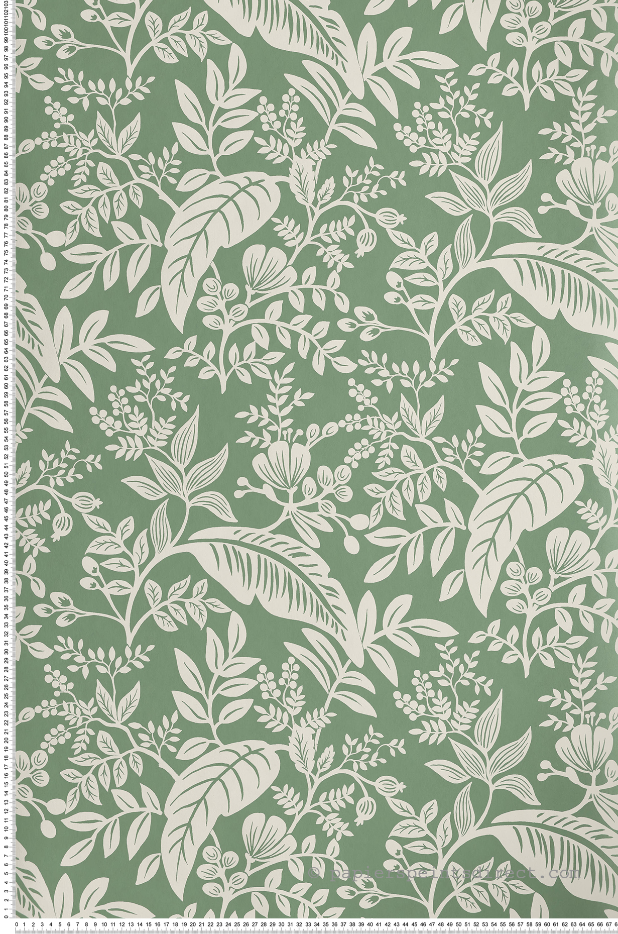 Papier peint Feuillages Canopy vert - Rifle Paper Co. d'Initiales | Réf. INI-RI5140