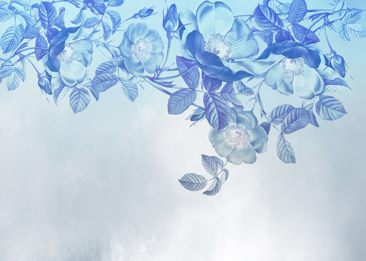 Papier peint panoramique Fleur Blue Aura - Papier peint Komar Colors