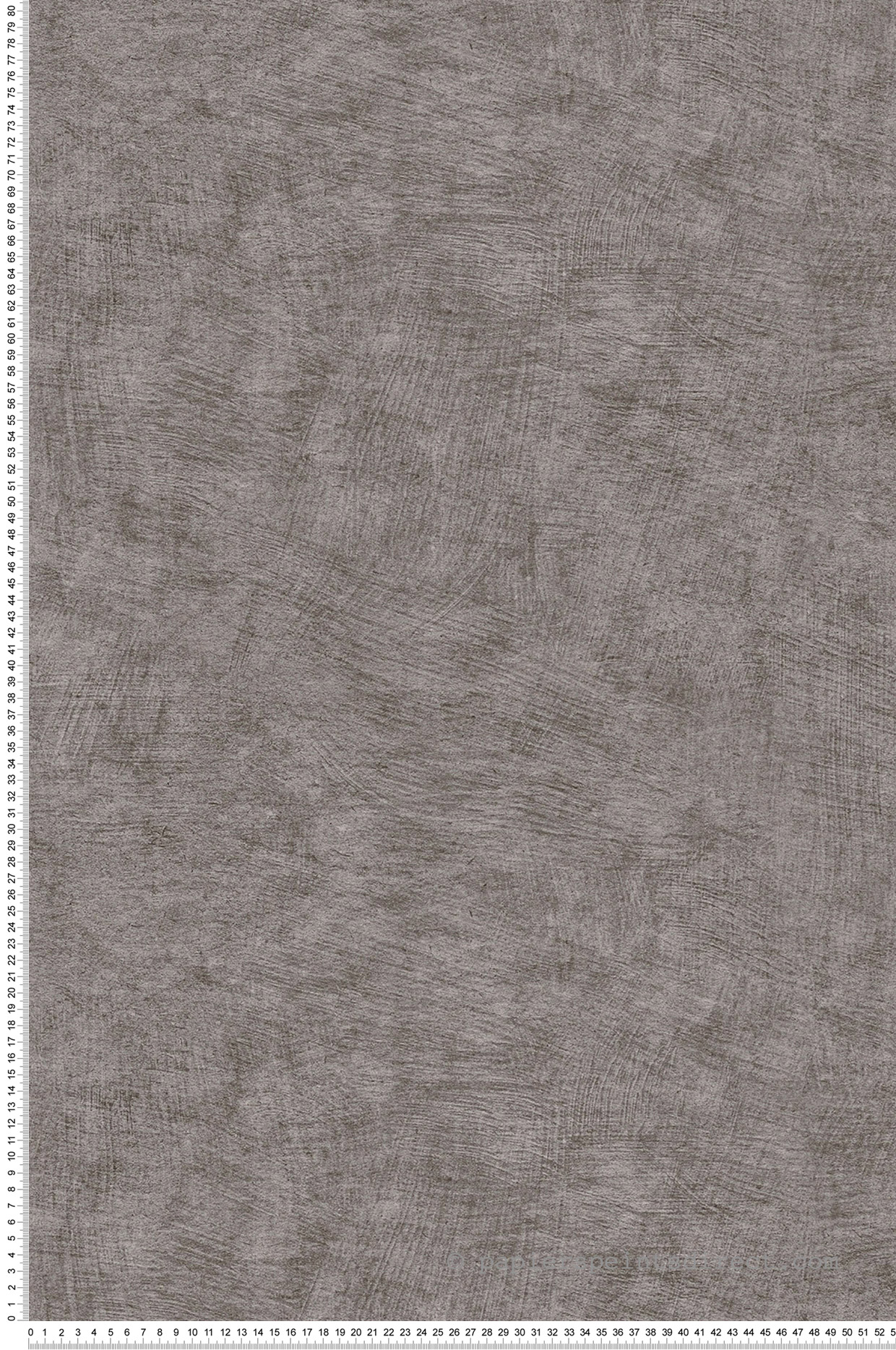 Papier peint Béton Enduit gris éléphant - Herbier de Montecolino | Réf. MC-HE27211