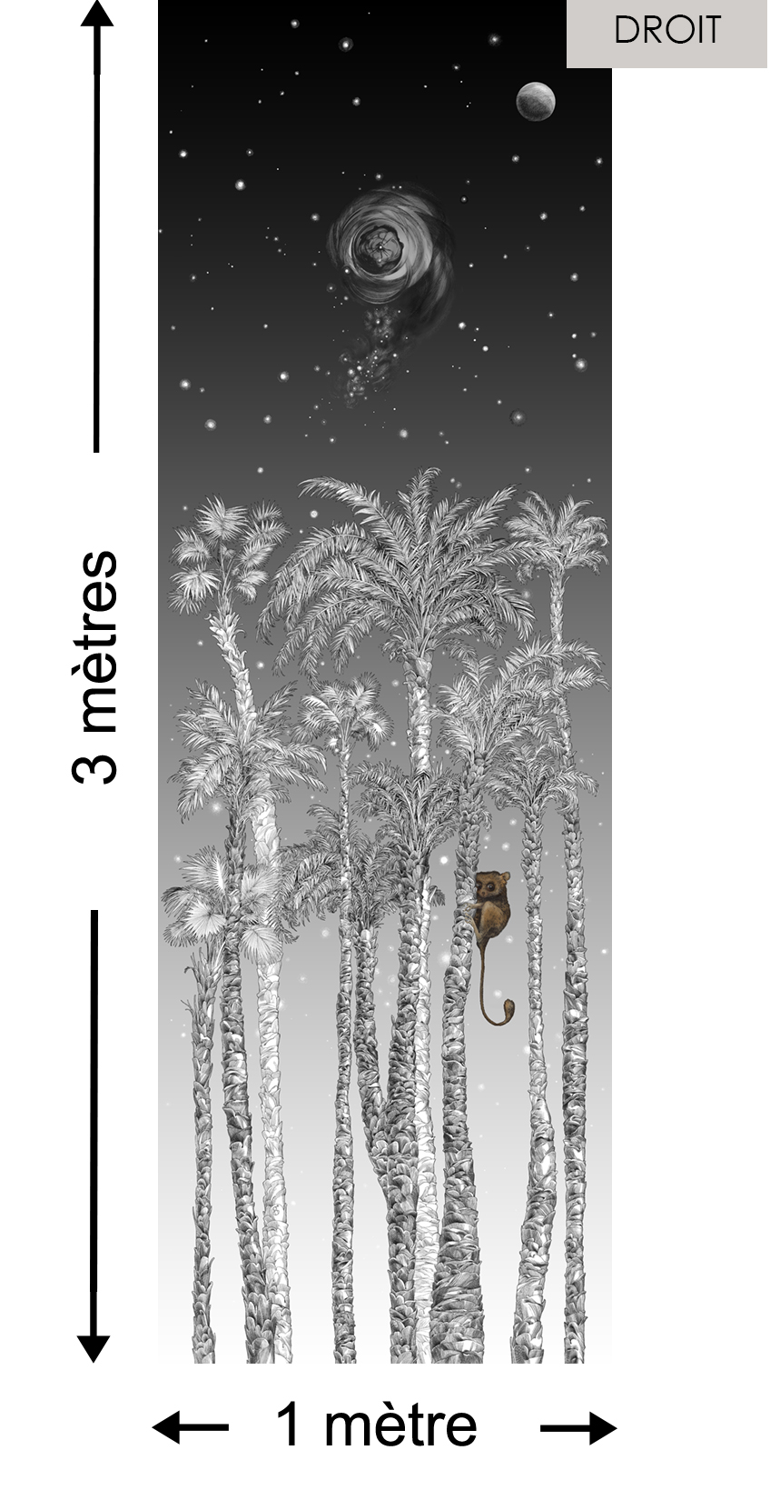 Nuit Terrienne DROITE Noir & Blanc - Collection Catherine Gran de Edmond Petit