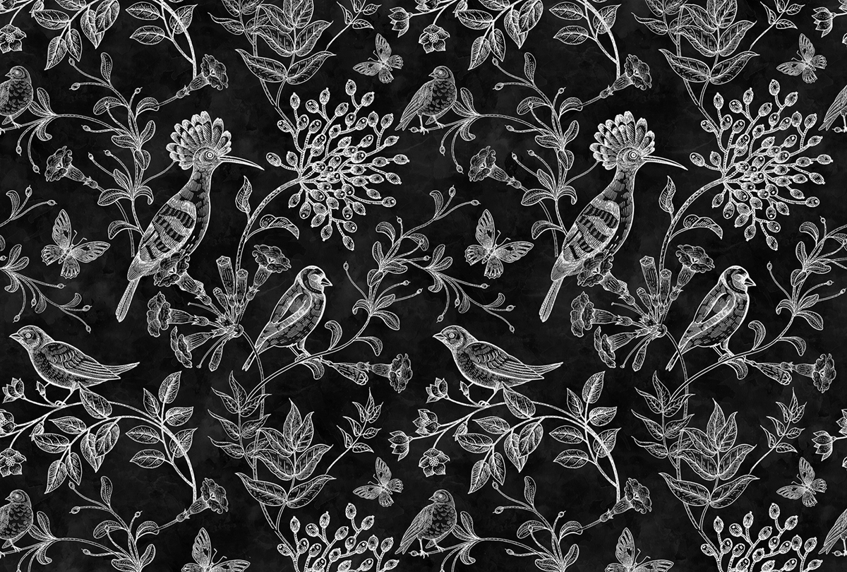 Papier peint panoramique Oiseau Blackboard 9  - Référence DD110346 - Intissé 200g/m2 - Standard 400 x 270