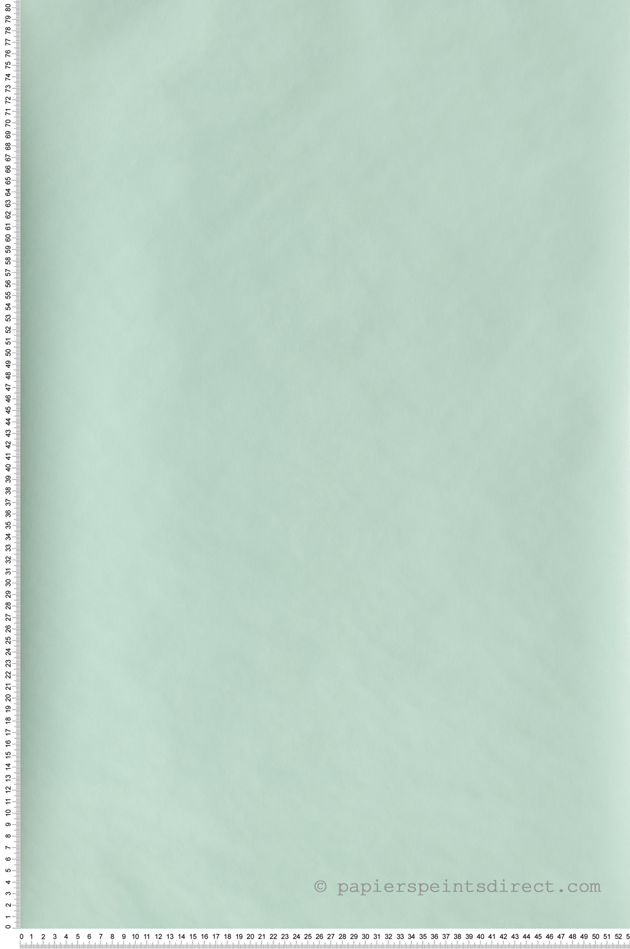 Papier peint Uni vert d'eau - Rose & Nino de Casadéco | Réf. RONI69867910