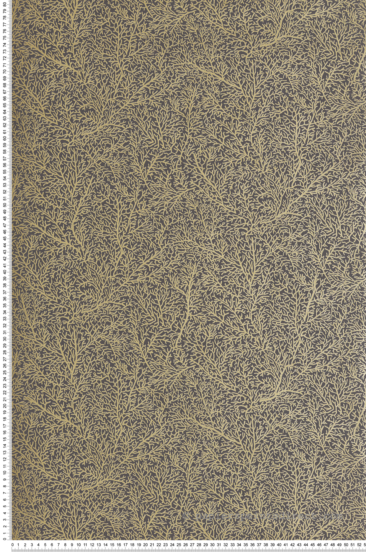 Papier peint Coraux Only Chips noir et doré - Sea You Soon de Casélio | Réf. SYO102789210