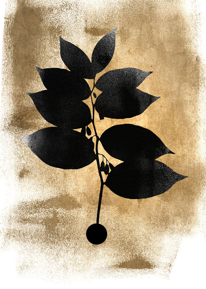 Papier peint panoramique Feuilles Dark Leafs - Référence DD119953 - Intissé 200g/m2 - Standard 200 x 280