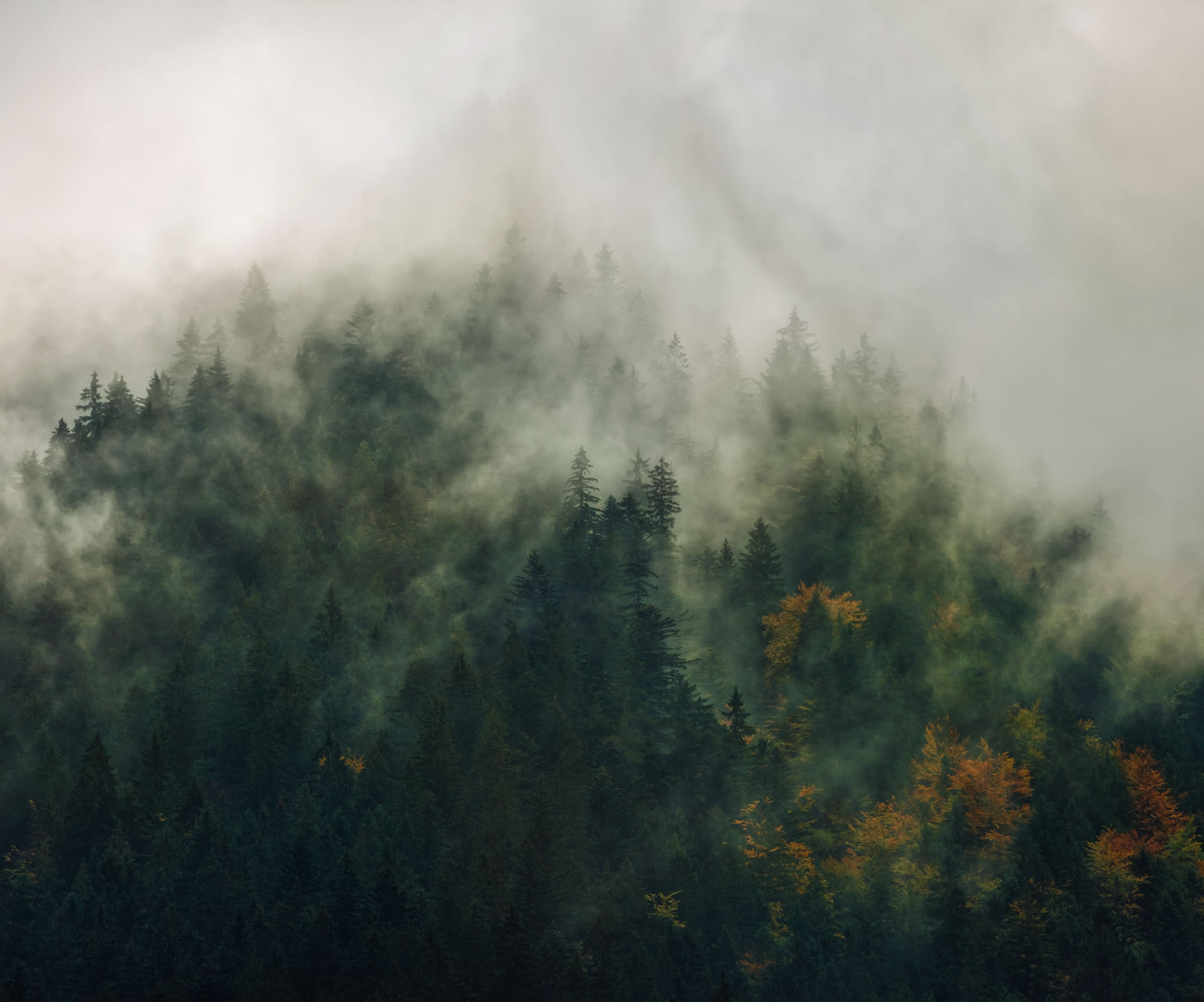 Panoramique Tales of the Carpathians - Papier peint Komar