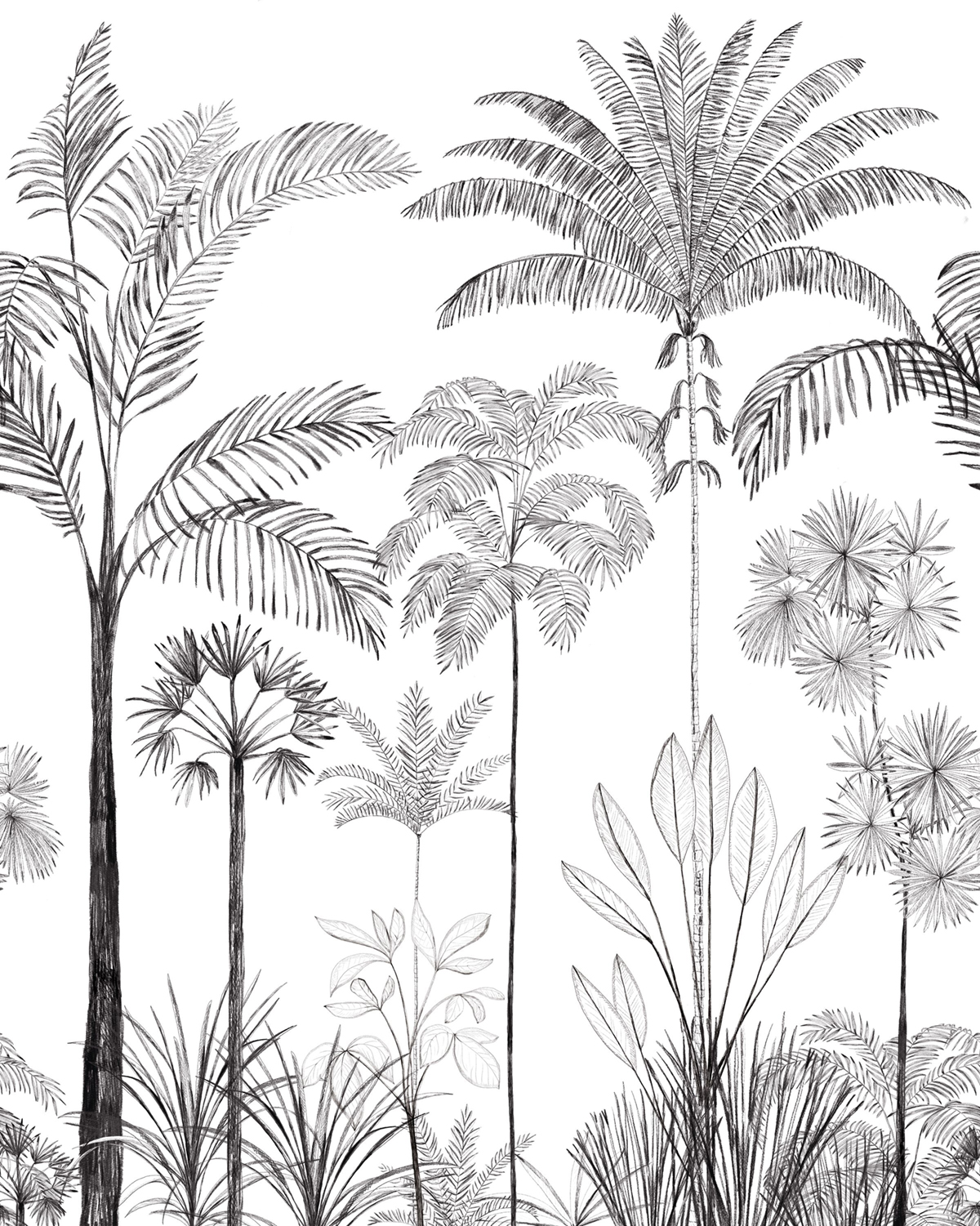 Papier peint panoramique Jungle Sao Paulo noir blanc 200X250 - Color Box 3 de Casélio | Réf. CB3105919105