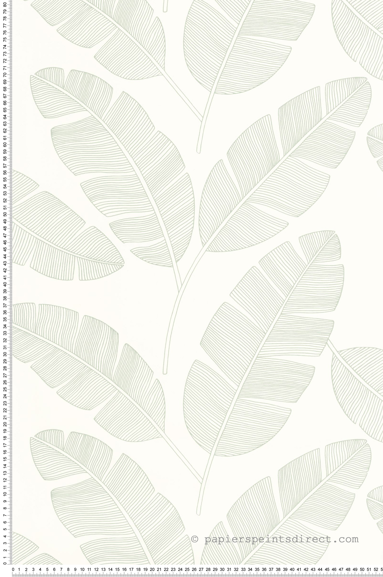 Papier peint Tropical Feuilles Banana Tree vert amande - Green & Co de Casélio | Réf. GCO101100723