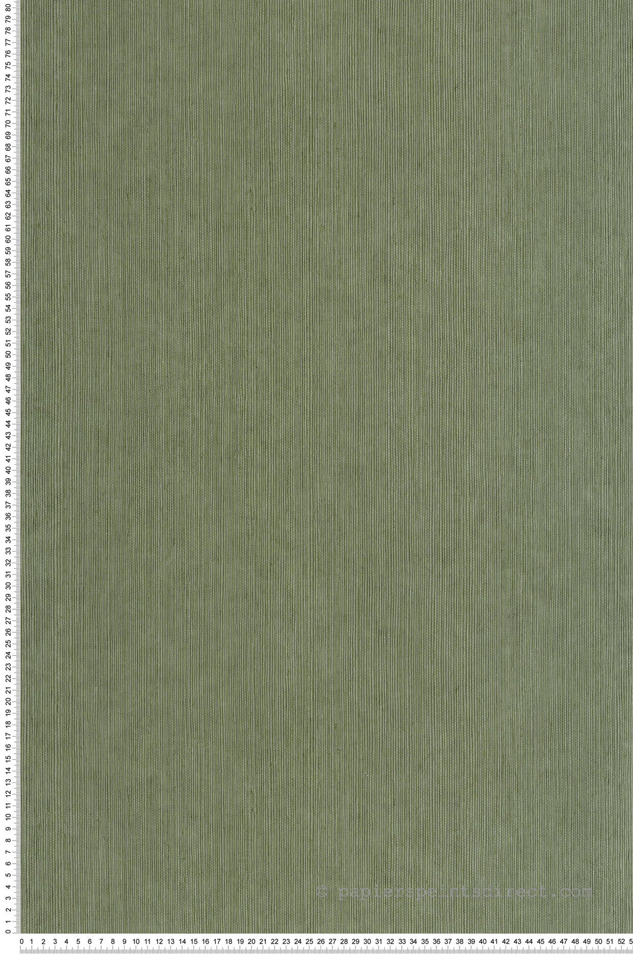 Papier peint Sisal Fibre vert mousse - Borneo de Casélio | Réf. BORN106017230