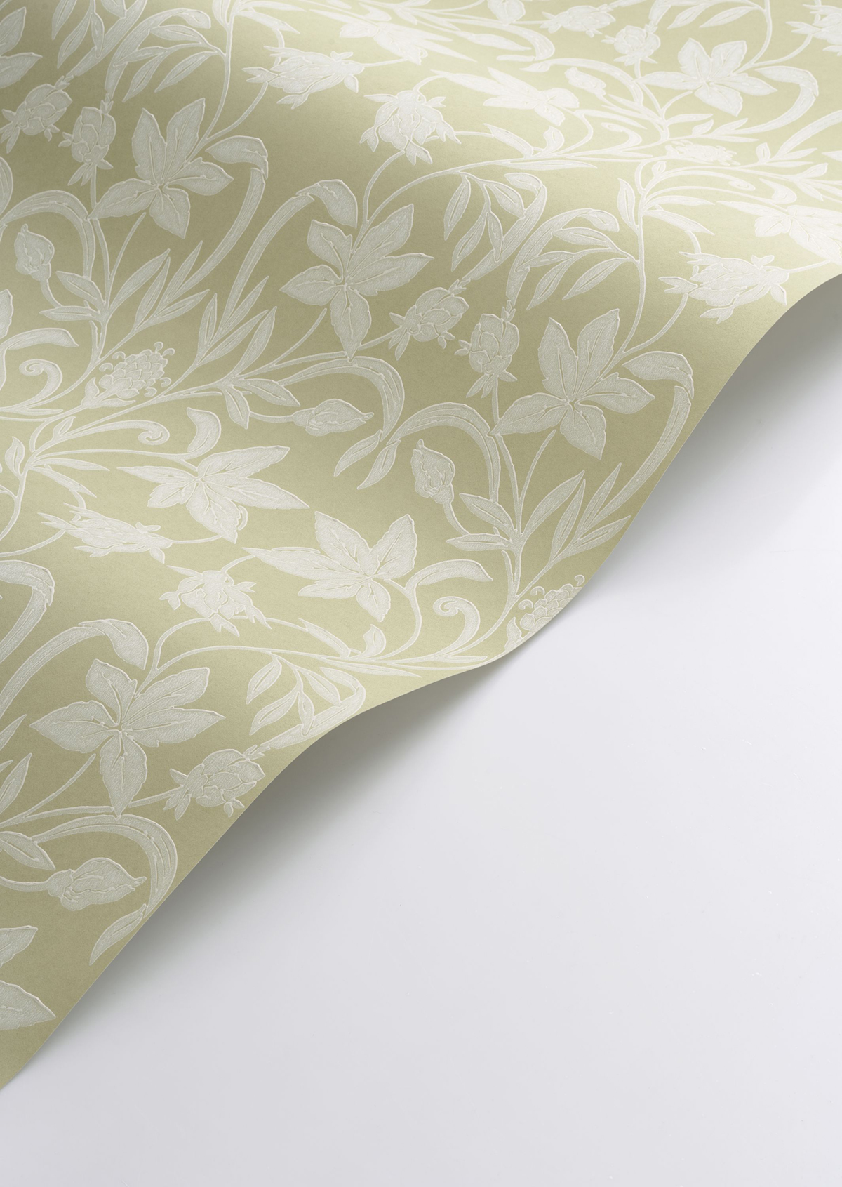 Papier peint Feuille Style Anglais Primrose vert pistache - Heritage de Casadéco AMBV | Réf. HETA201237245