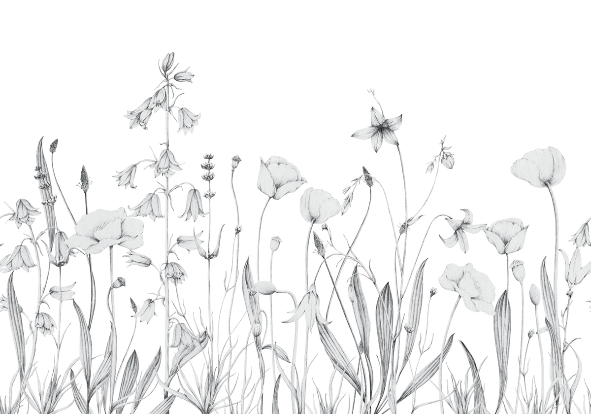 Papier peint panoramique Floral Promenade Bucolique M gris brume 400X280 - Wonderwalls 2 de Casadéco | Réf. WDWD200169111