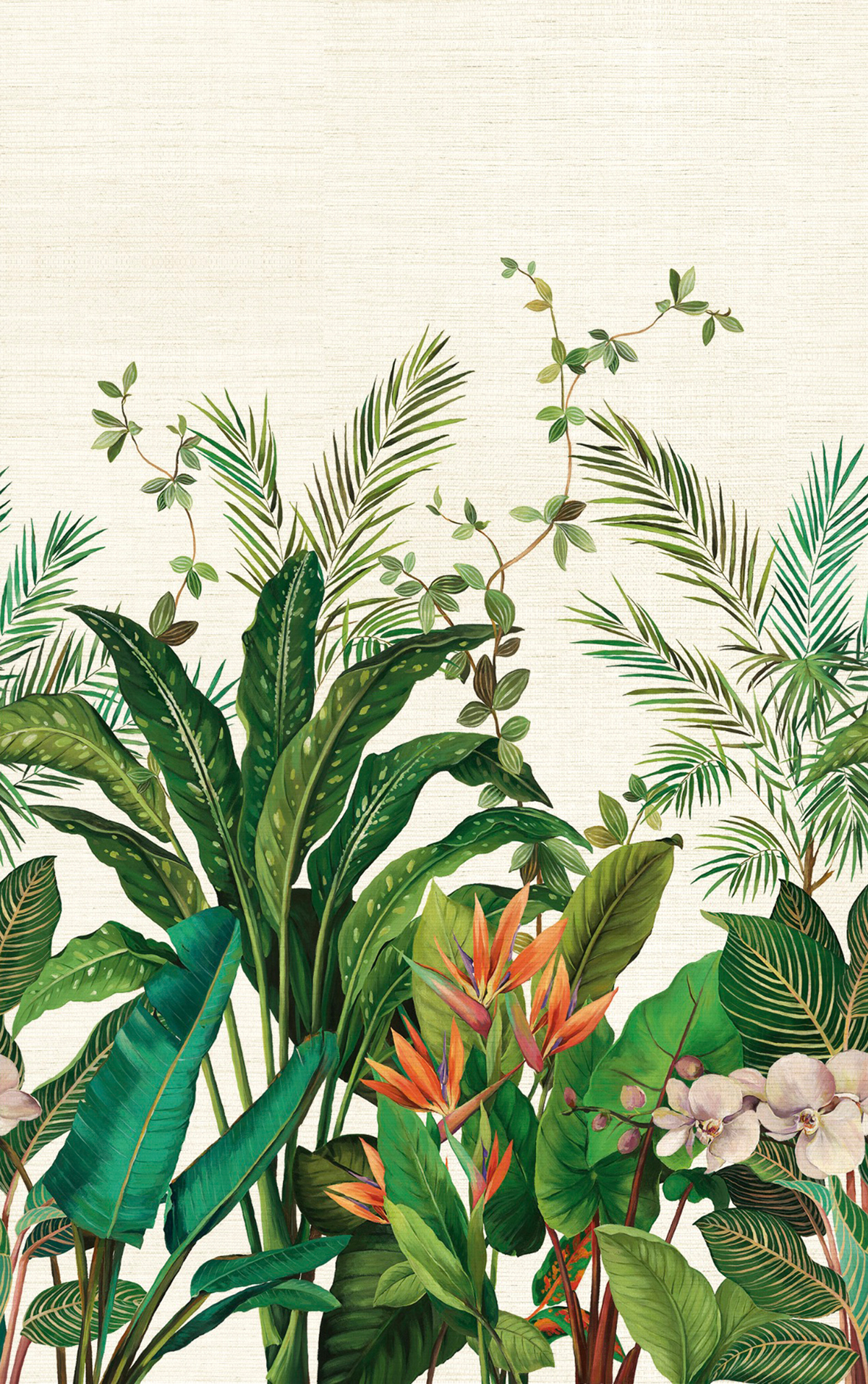 Papier peint panoramique Plante Oiseau de Paradis Grasscloth blanc cassé - Daisy Bennett d'Initiales | Réf. INI-DB32704M