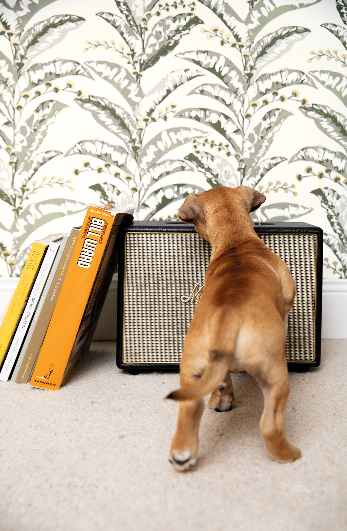 Papier peint Fleurs Epopée vert de gris - L'escapade de Casélio AMB | Réf. EPA102337735