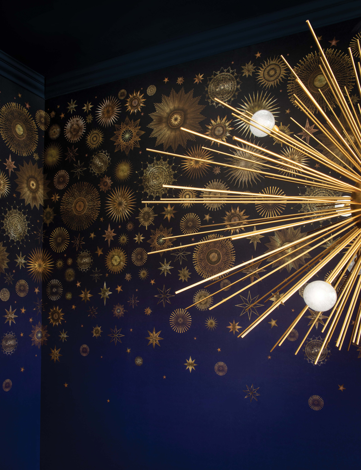 Papier peint panoramique Ciel Celestia nuit - DayDreams et The Wallpaper Collection de Matthew Williamson AMB | Réf. OSB-W7495-01