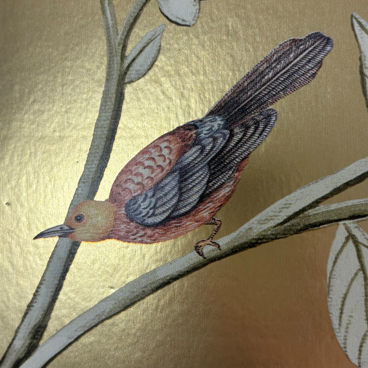 Papier peint panoramique Nature Vigne doré - Daisy Bennett d'Initiales AMBZ | Réf. INI-DB33806M