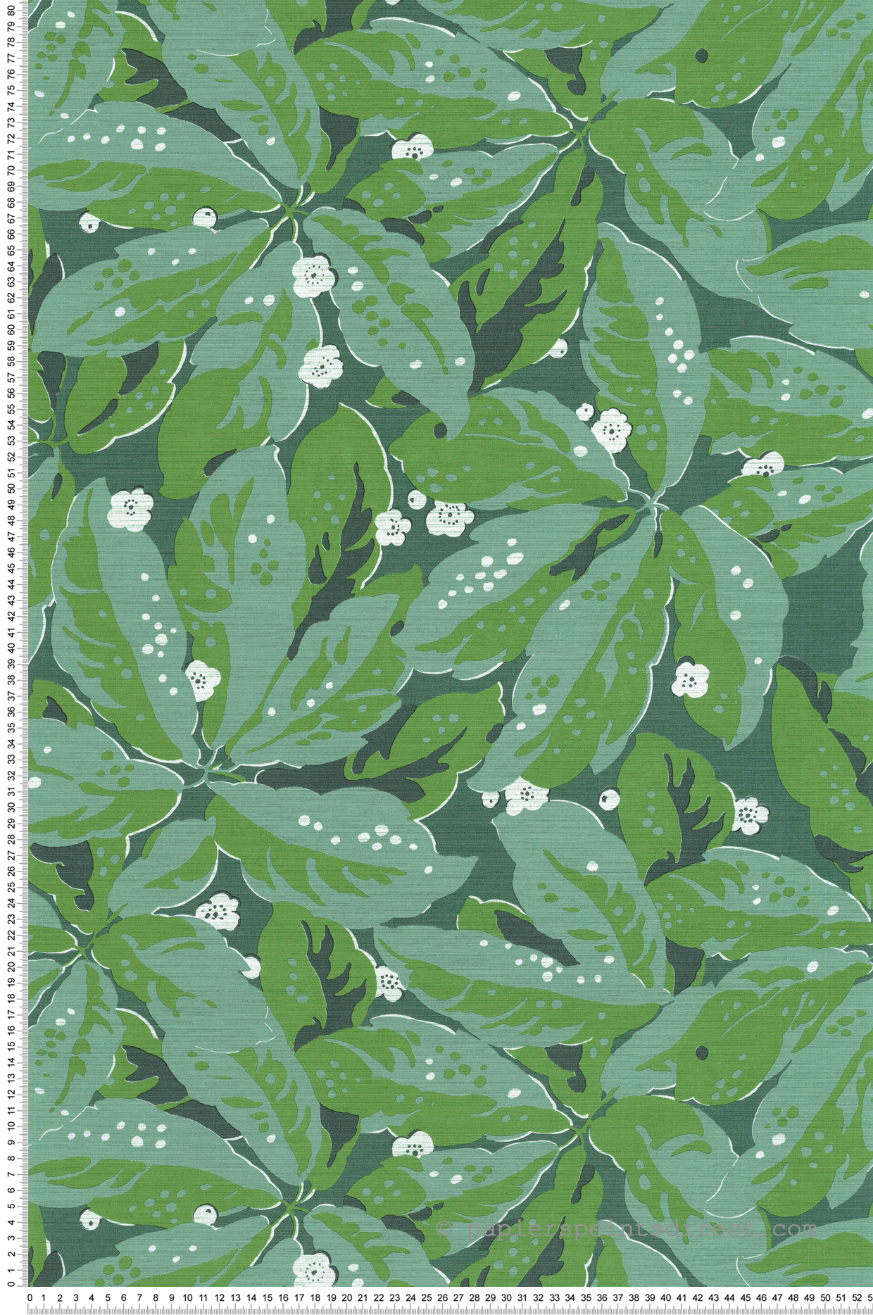 Papier peint Feuilles Greenery vert gazon - Five o'clock de Casadeco | Réf. FOCL85797156