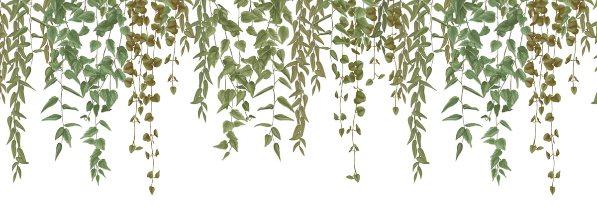 Papier peint Crédence Feuille Green Waterfalls vert - Kitchen Box de Casélio | Réf. KBO106950723