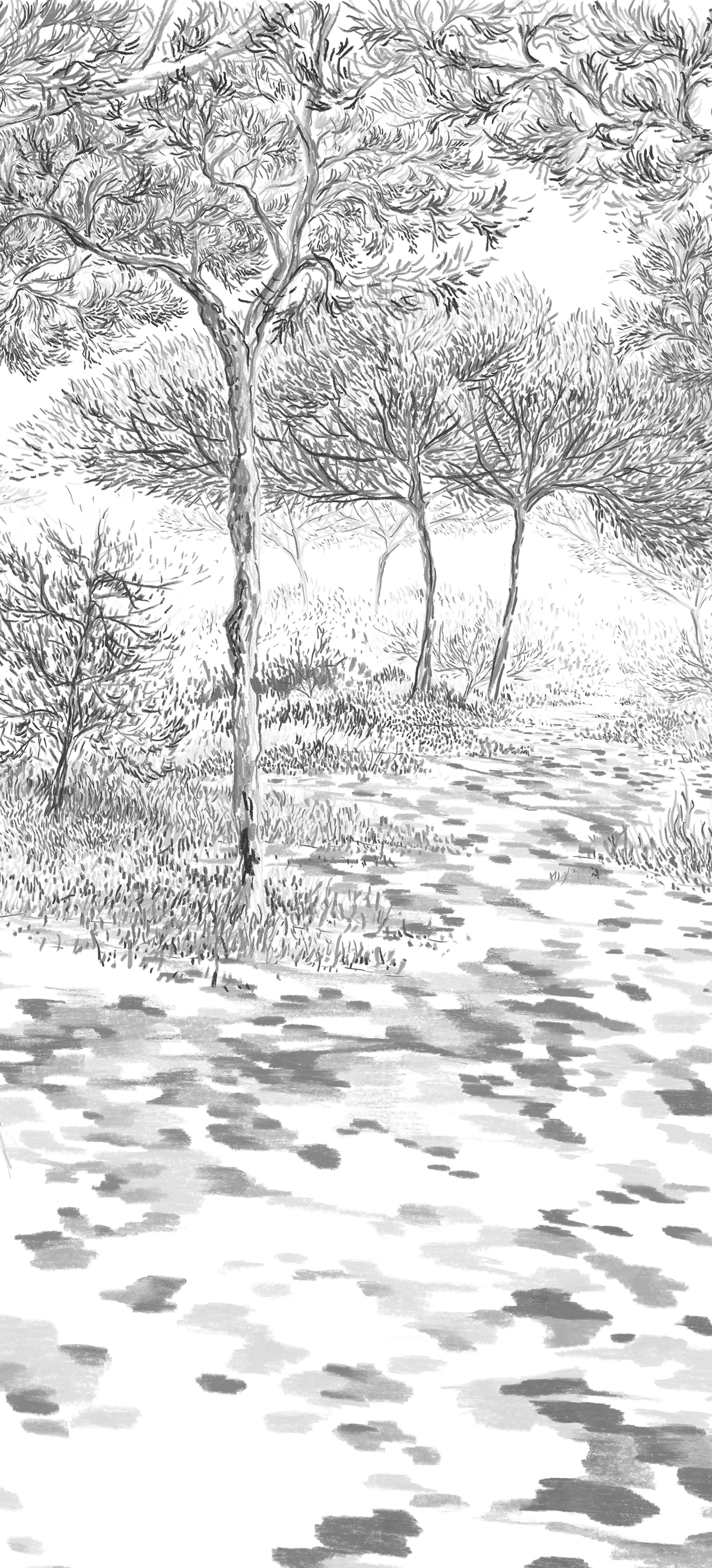 Papier peint panoramique Balade sous les pins Gris B - 4/5/6 - Isidore Leroy