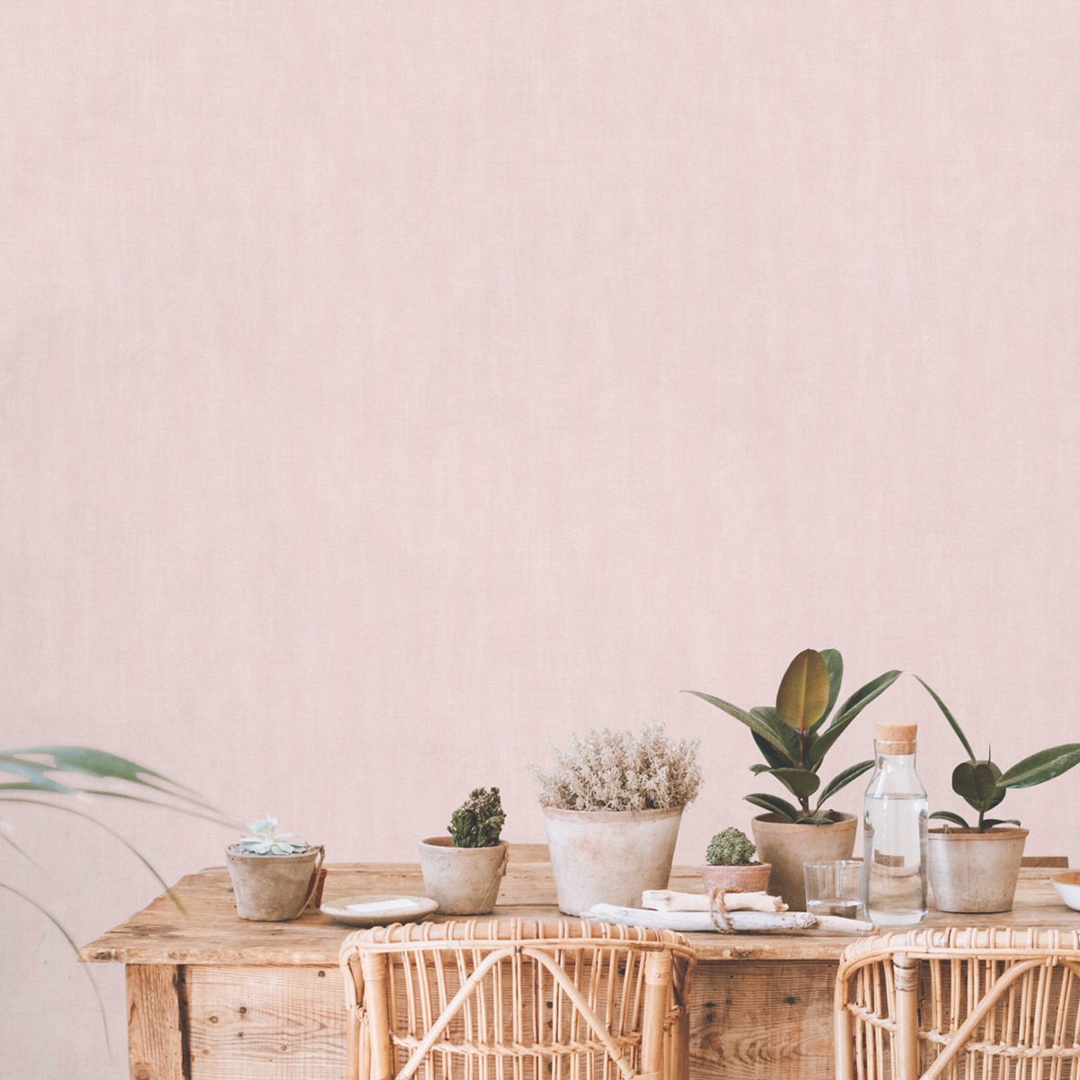Papier peint Faux Uni Ecorce rose - Poésie de Lutèce | Réf. LTC-51254113