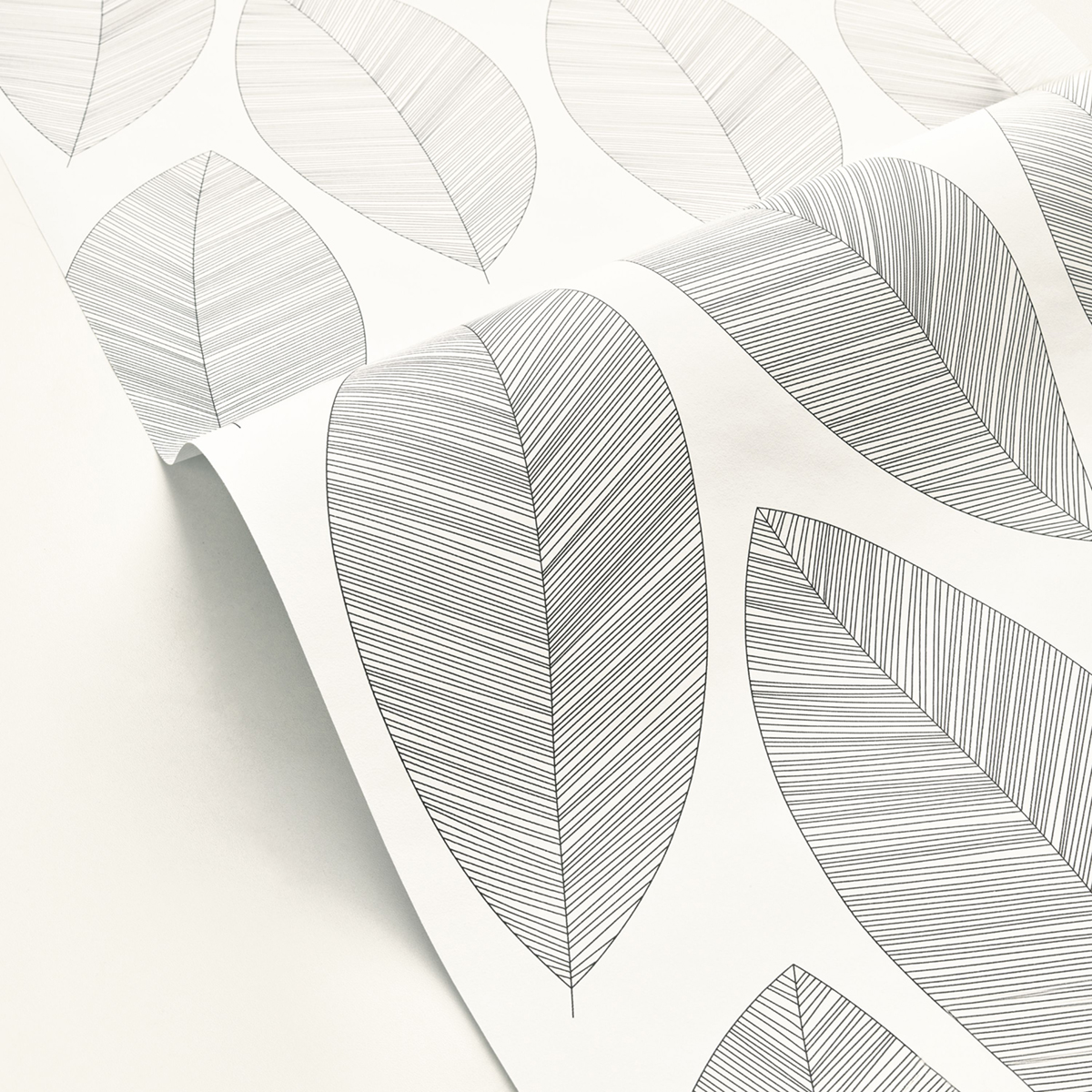 Papier peint Feuille Graphic Leaves noir et blanc - Moonlight 2 de Casélio AMBV | Réf. MLGT104310927