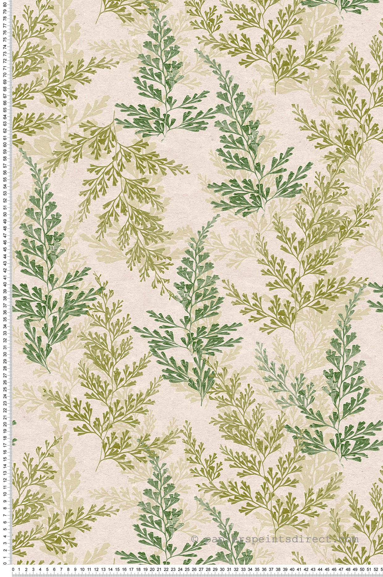 Papier peint Fougère Cyprès vert - Herbier de Montecolino | Réf. MC-HE27282