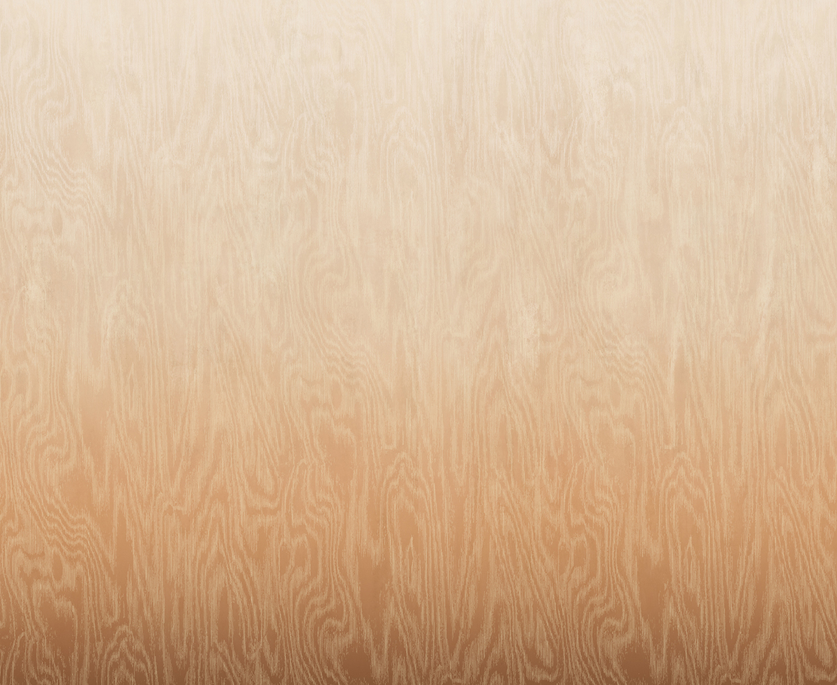 Papier peint panoramique Dégradé Moiré Bois camel beige - A, B et C H260 - Wall Designs IV de Masureel | Réf. MAS-DG4MOI104X-260