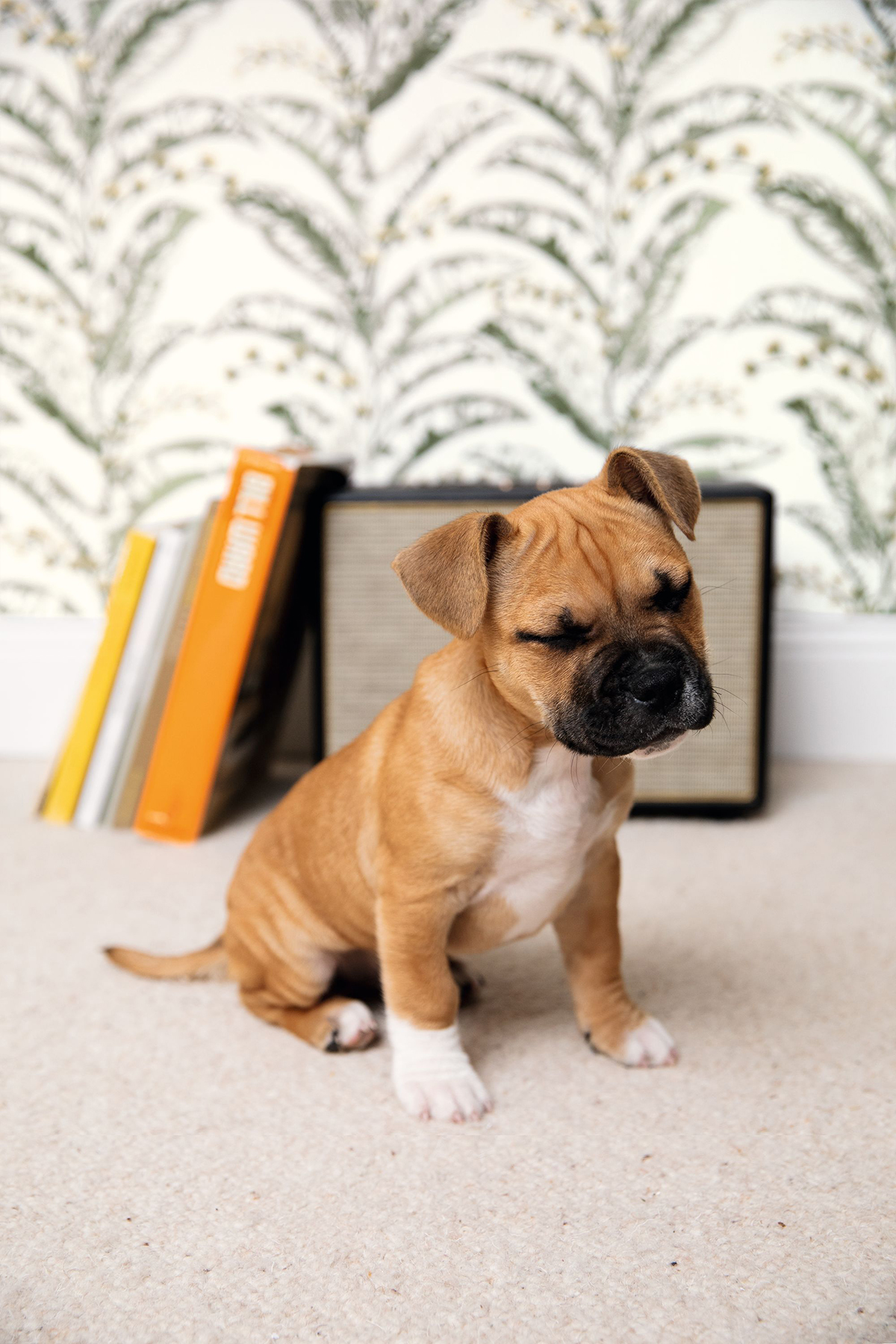 Papier peint Fleurs Epopée vert de gris - L'escapade de Casélio | Réf. EPA102337735
