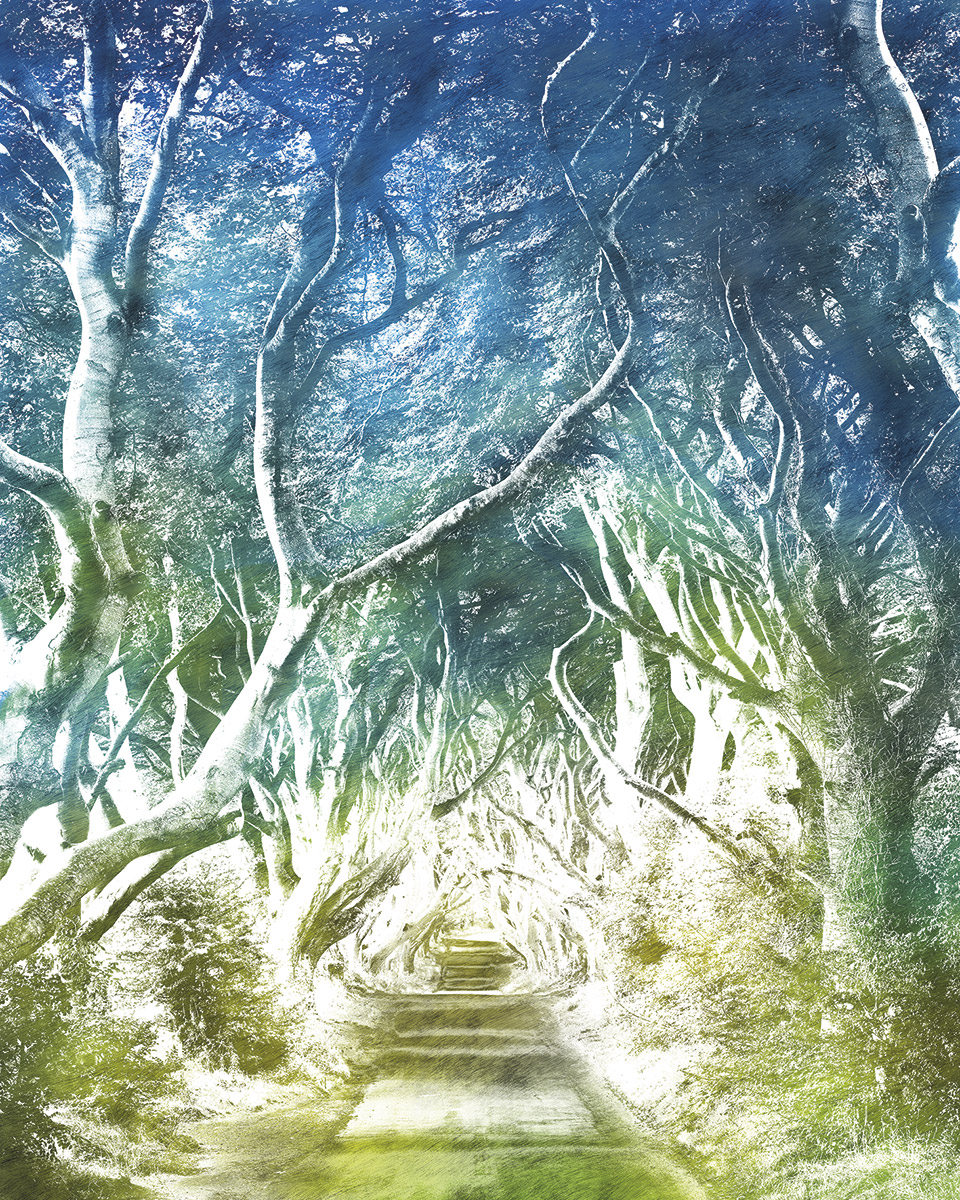 Panoramique Alley - Papier peint Komar