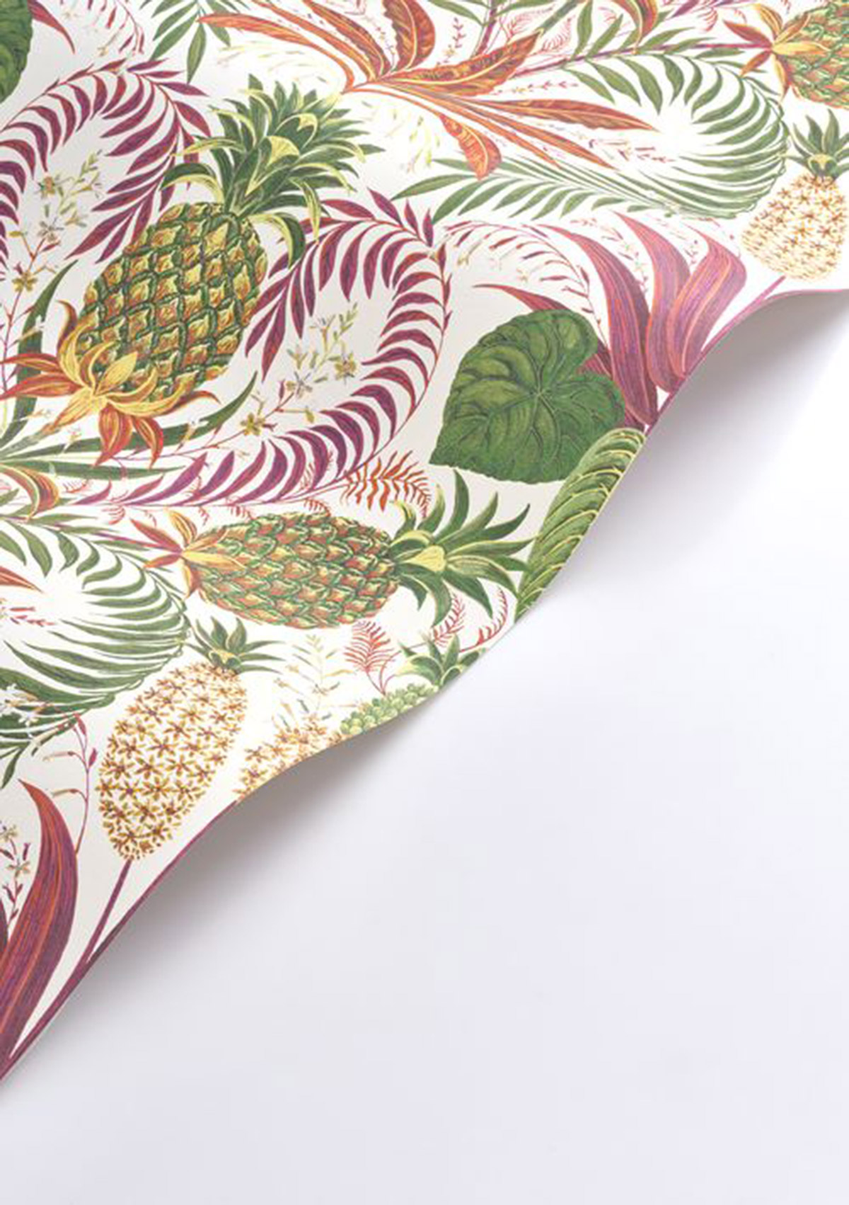 Papier peint Jungle Ananas Samba fuchsia - Rio de Casadéco AMB4| Réf. RIOC201824497