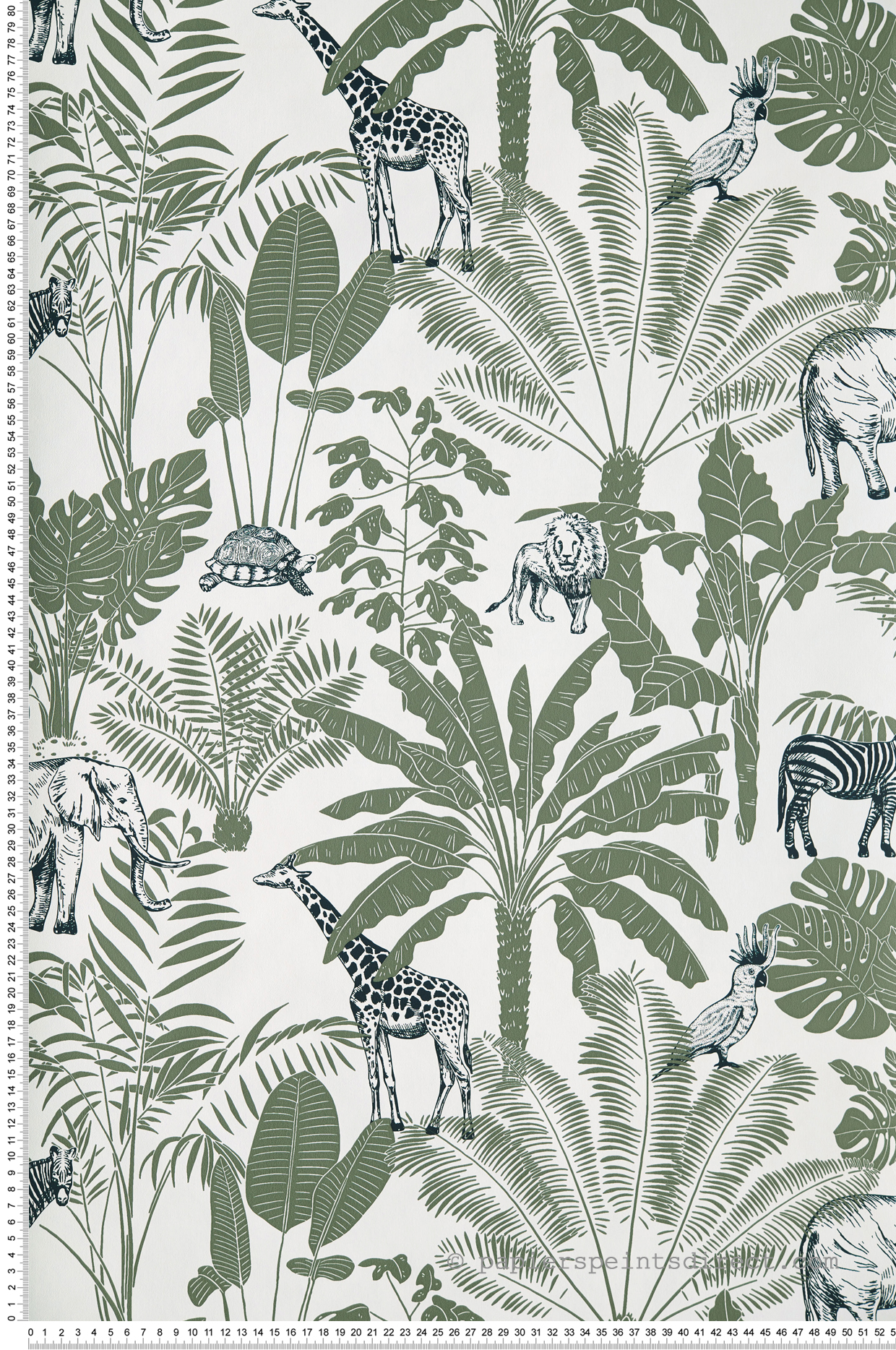 Papier peint Animaux Jungle Trip vert - Our Planet de Casélio | Réf. OUP101957403