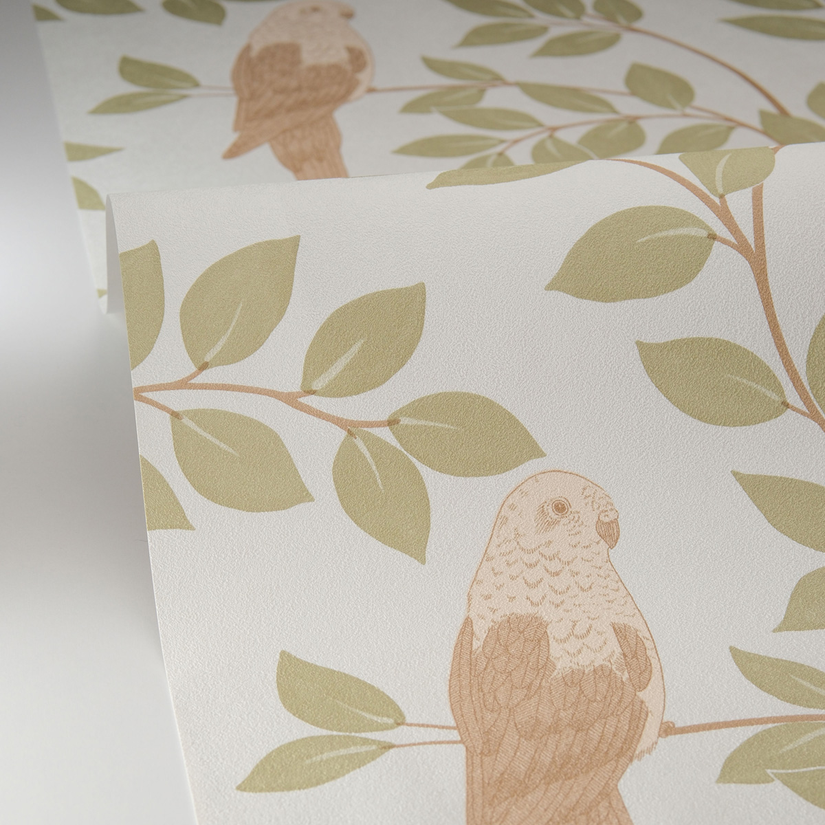 Papier peint Oiseau Jungle Equateur amande brun - Borneo de Casélio AMBV| Réf. BORN106527070