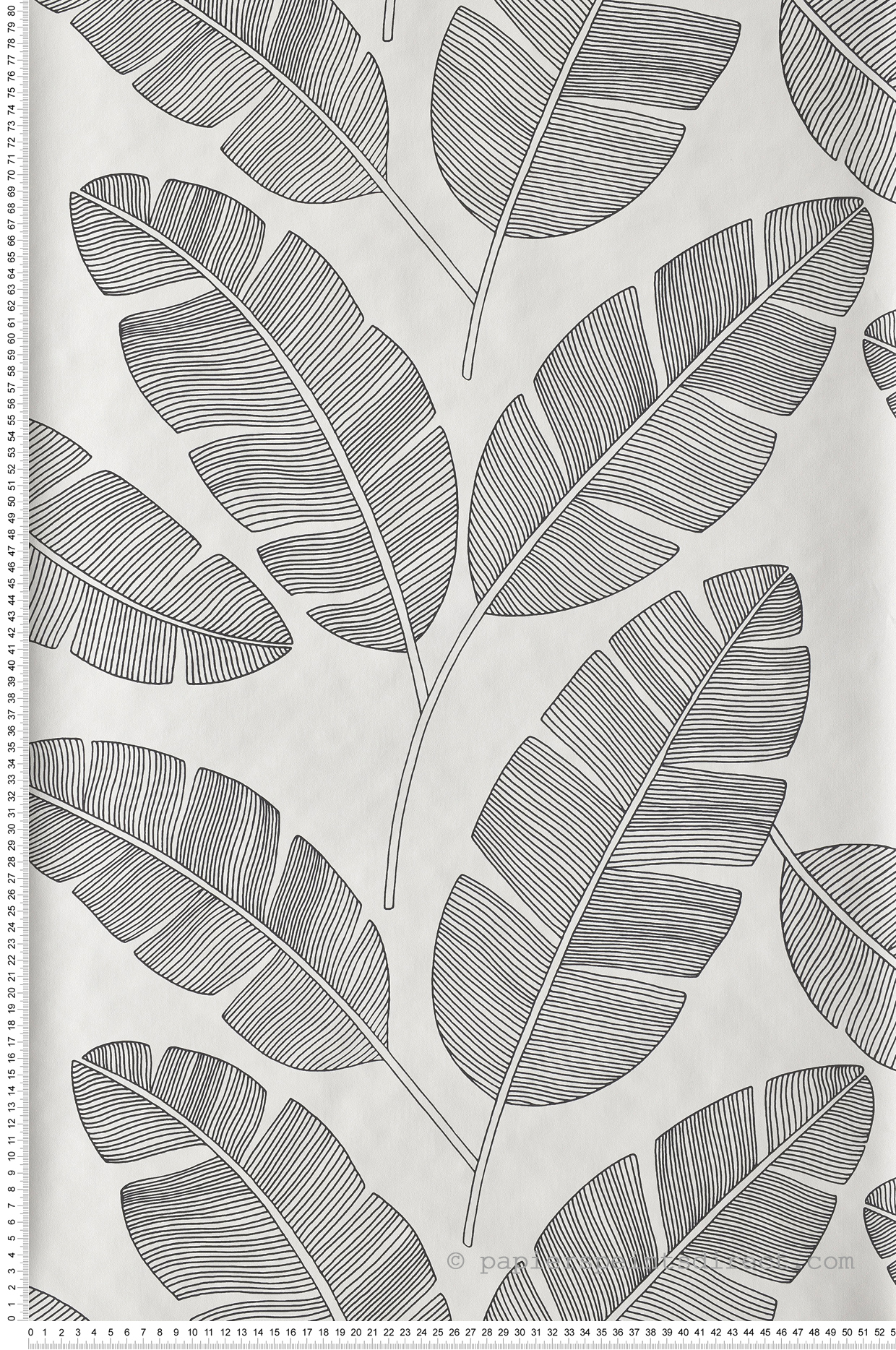 Papier peint tropical Feuilles Banana tree noir et blanc - Moonlight de Casélio | Réf. MLG101099007
