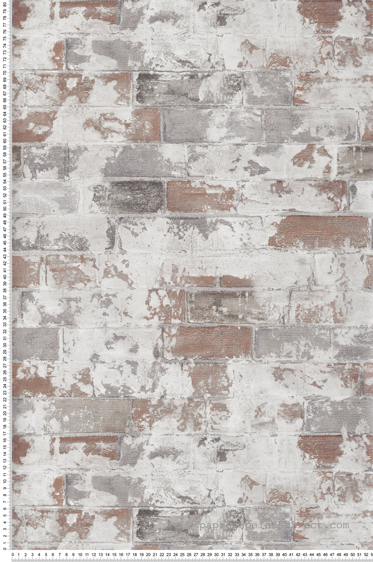 Papier peint Mur Brique Usé gris - Sauvage 2 de Lutèce | Réf. LTC-G67989