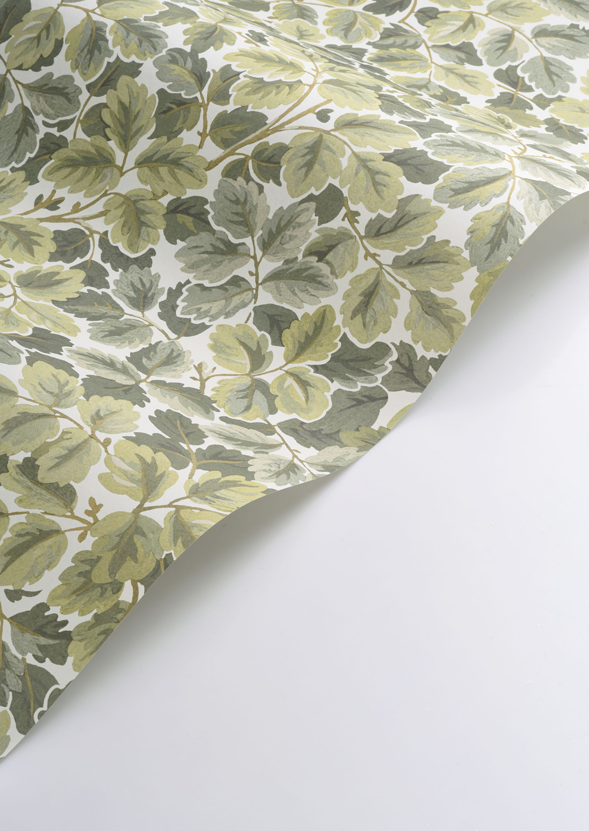 Papier peint Feuille de Chêne Regent's Park vert amande - Heritage de Casadéco AMBV | Réf. HETA201207244