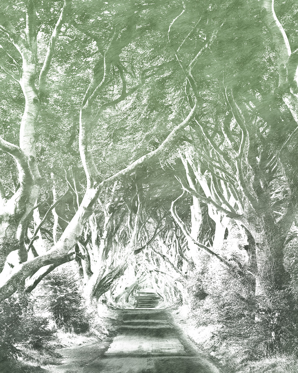 Panoramique Alley Graphite - Papier peint Komar