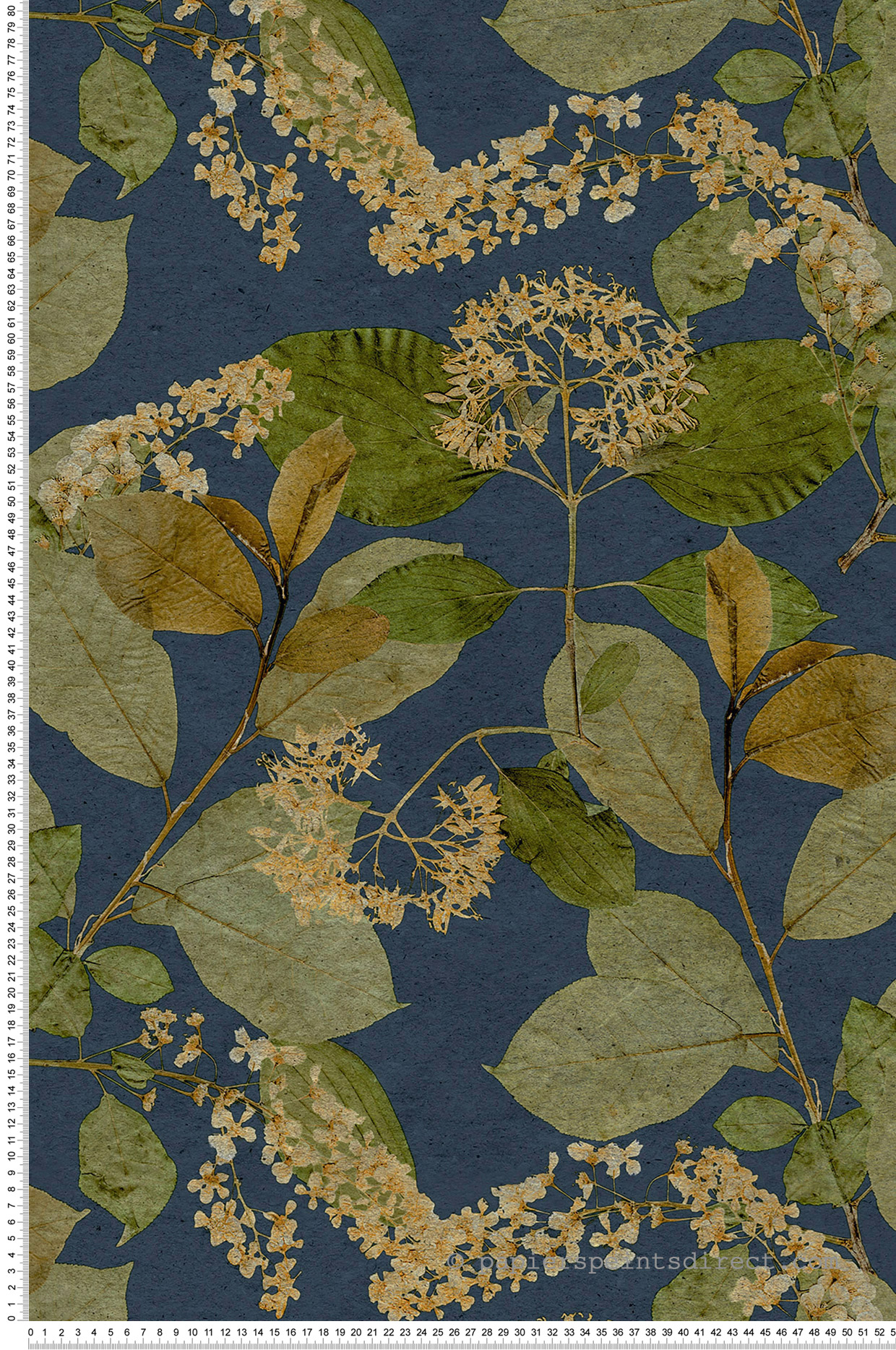 Papier peint Feuille Branchage Aplat marine vert - Herbier de Montecolino | Réf. MC-HE27233