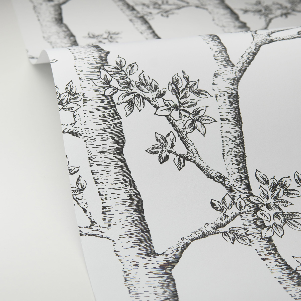 Papier peint Arbre Tronc Automne noir et blanc - Balade de Casélio AMB6| Réf. BLD106120000