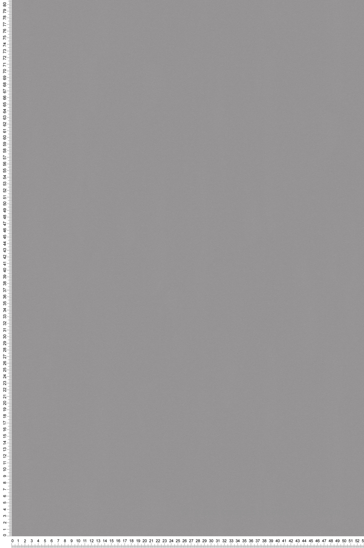 Papier peint Uni gris fer - Bjorn AS Création | Réf. SP04080